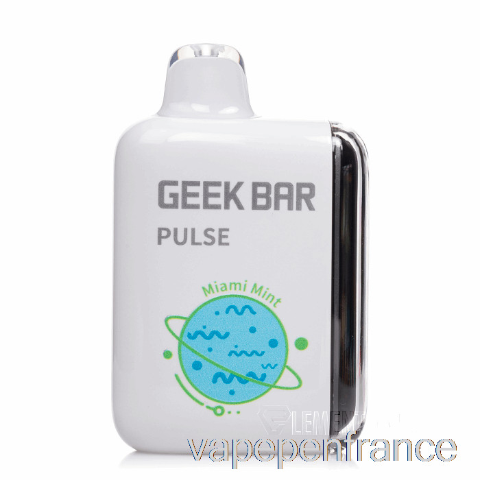 Geek Bar Pulse 15000 Stylo Vape Jetable à La Menthe Miami